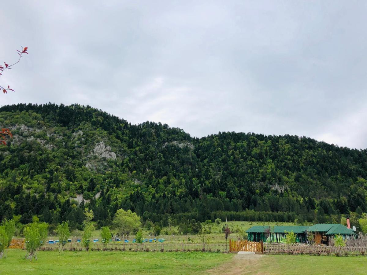 Camping Farm Shelegur Leskovik 外观 照片