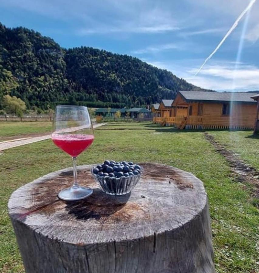 Camping Farm Shelegur Leskovik 外观 照片