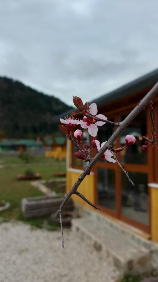 Camping Farm Shelegur Leskovik 外观 照片