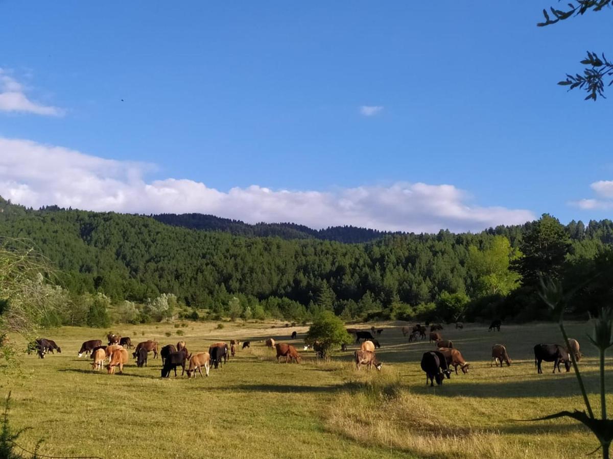 Camping Farm Shelegur Leskovik 外观 照片