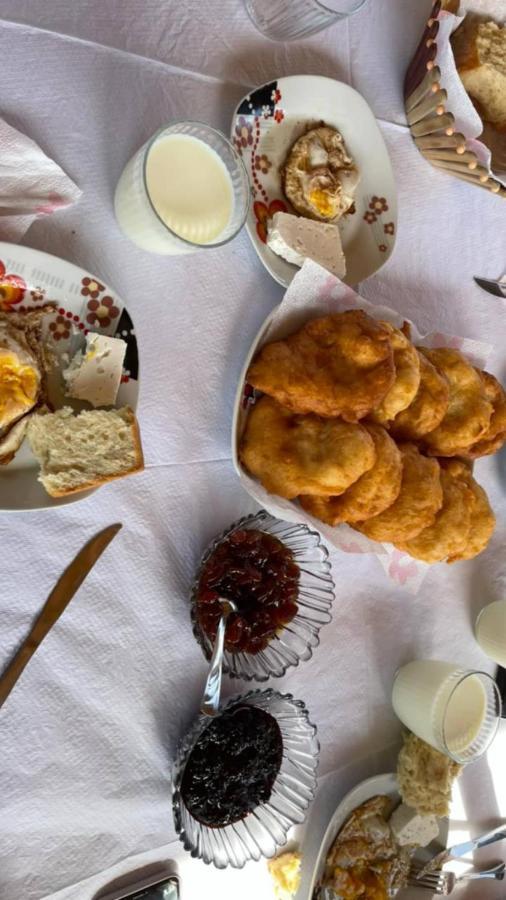 Camping Farm Shelegur Leskovik 外观 照片